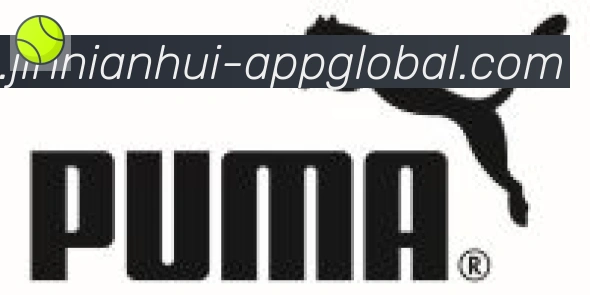 jinnianhui金年会体育合作伙伴